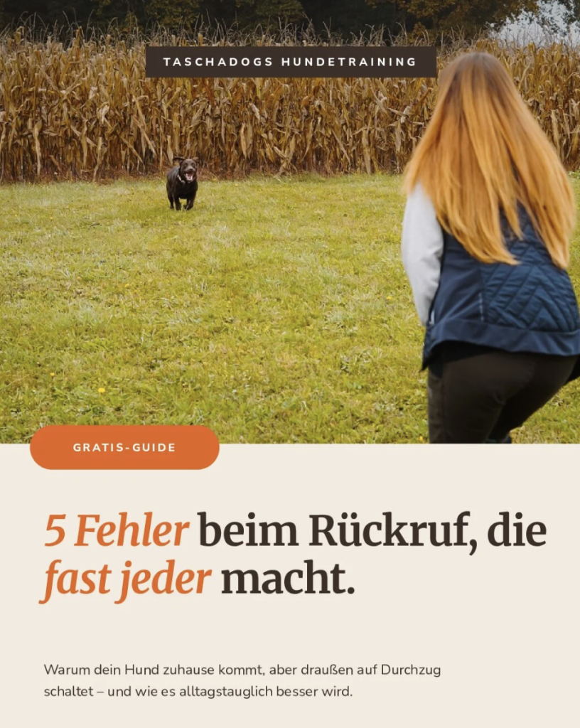 Cover des Gratis-Guides „5 Fehler beim Rückruf“: Hund läuft über eine Wiese auf Hundetrainerin Natascha Kelz zu