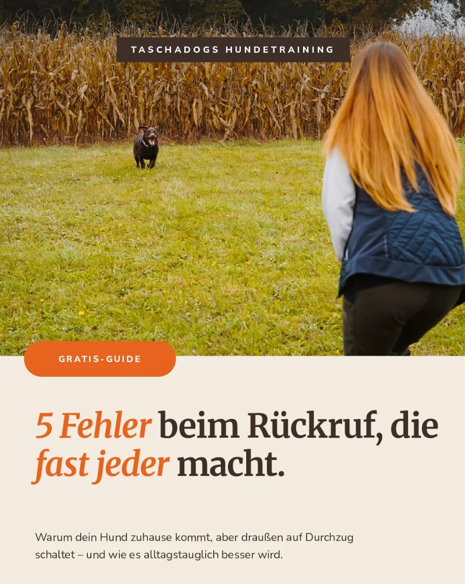 Cover des Gratis-Guides „5 Fehler beim Rückruf“: Hund läuft über eine Wiese auf Hundetrainerin Natascha Kelz zu