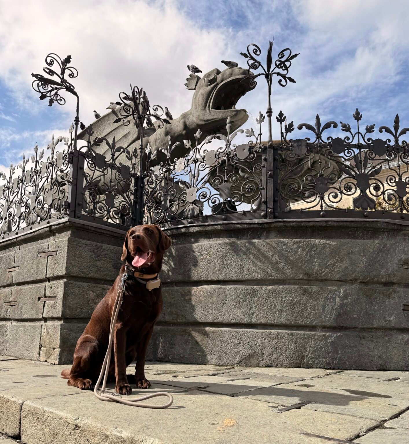 Brauner Labrador Aaron sitzt an der Leine vor der Lindwurm-Statue am Neuen Platz in Klagenfurt