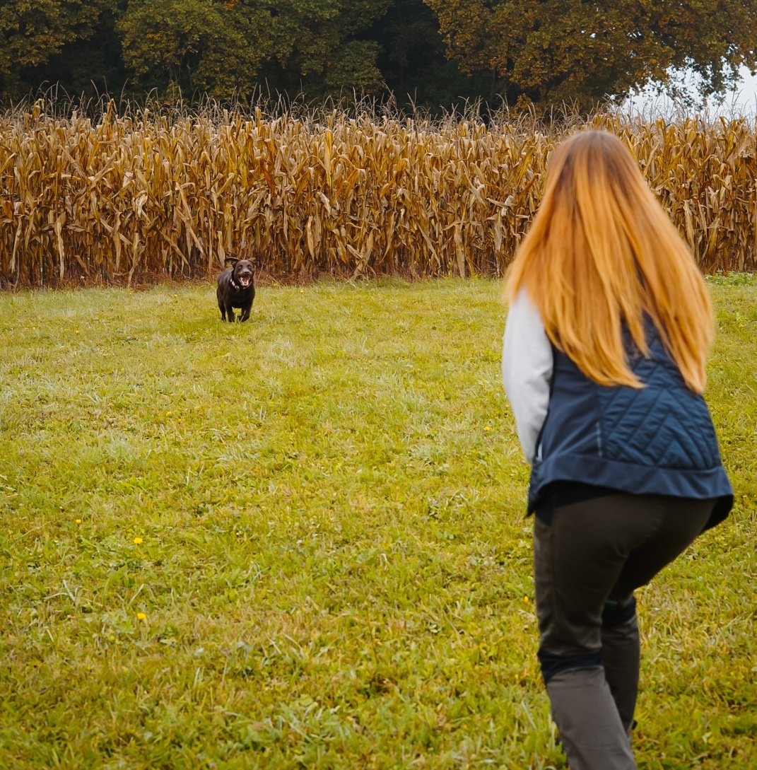 Hund läuft freudig auf seine Halterin zu beim Rückruf-Training