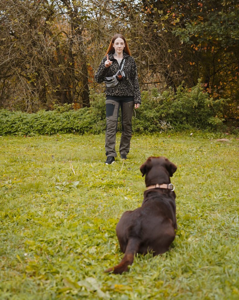Hundetrainerin belohnt einen Hund an der Schleppleine auf einer ruhigen Wiese.