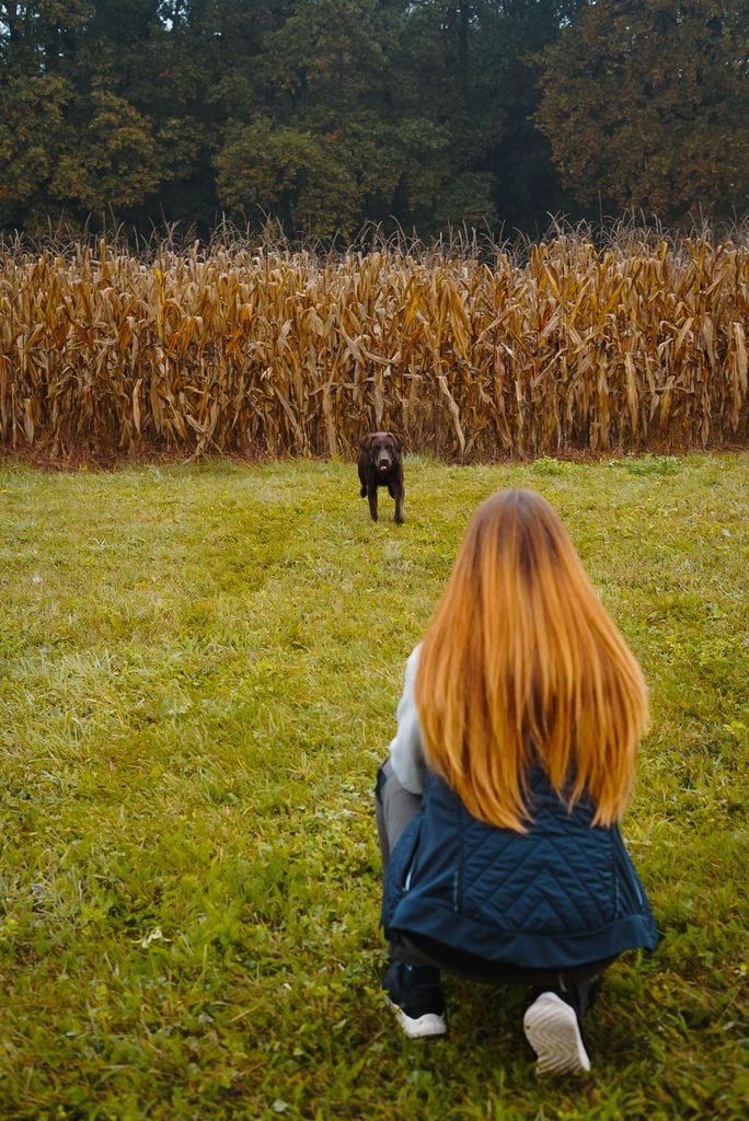 Mensch übt den Rückruf mit seinem Hund an der Leine auf einer ruhigen Wiese.