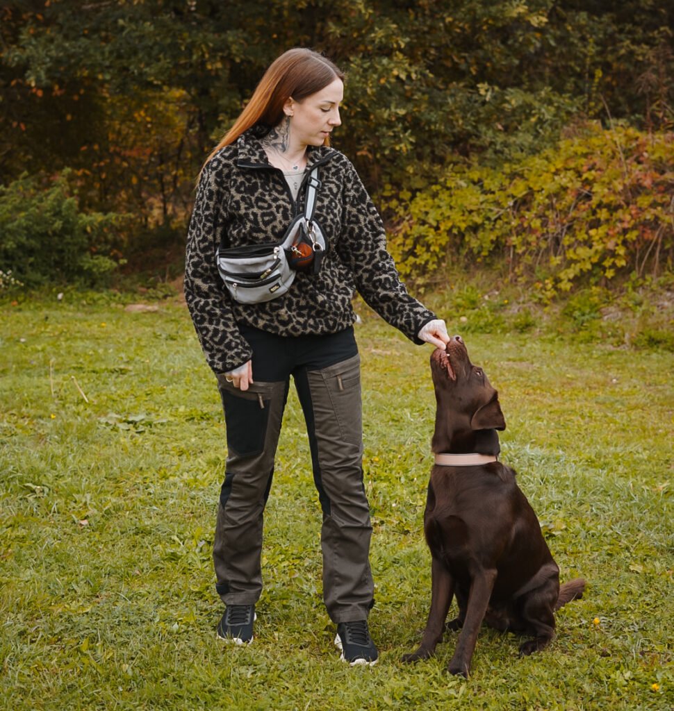 Hundetrainerin Tascha gibt ihrem braunen Labrador Aaron ein Leckerli, Aaron sitzt und schaut zu ihr hoch